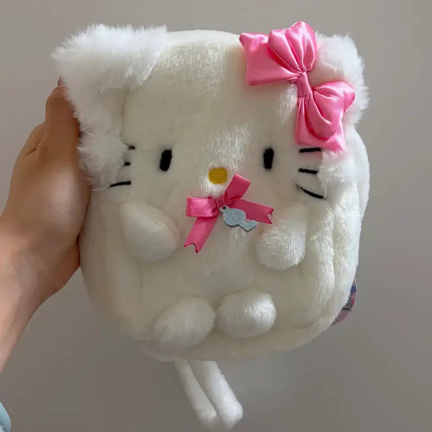 [BUNJANG] Sanrio Hello Kitty Full Body Pouch / 산리오 챠미키티 전신 파우치