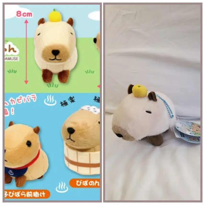 [BUNJANG] Amuse Capybara-san LMC Mascot / 일본 어뮤즈 정품) 카피바라상 마스코트 LMC