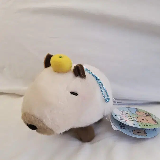 [BUNJANG] Amuse Capybara-san LMC Mascot / 일본 어뮤즈 정품) 카피바라상 마스코트 LMC
