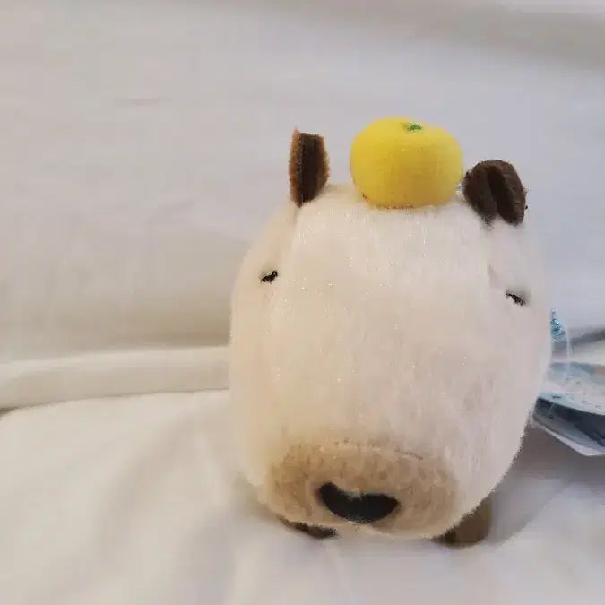 [BUNJANG] Amuse Capybara-san LMC Mascot / 일본 어뮤즈 정품) 카피바라상 마스코트 LMC