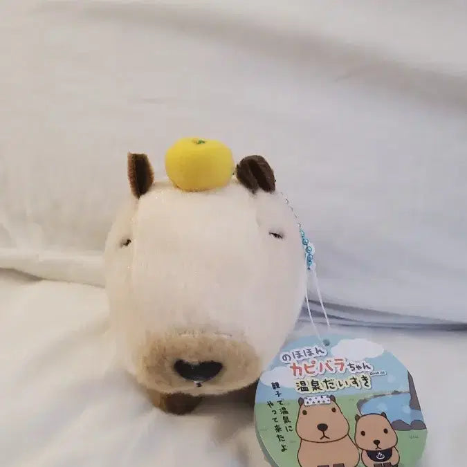 [BUNJANG] Amuse Capybara-san LMC Mascot / 일본 어뮤즈 정품) 카피바라상 마스코트 LMC