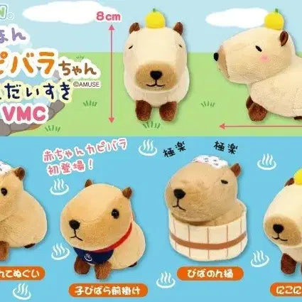 [BUNJANG] Amuse Capybara-san LMC Mascot / 일본 어뮤즈 정품) 카피바라상 마스코트 LMC