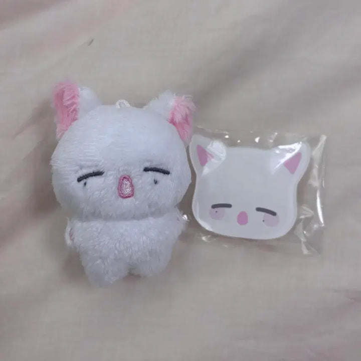 [BUNJANG] ZB1 Zhang Hao POB Bundle Set / 제로베이스원 장하오 짱누누 양도 특전포함 제베원 월드투어 콘서트