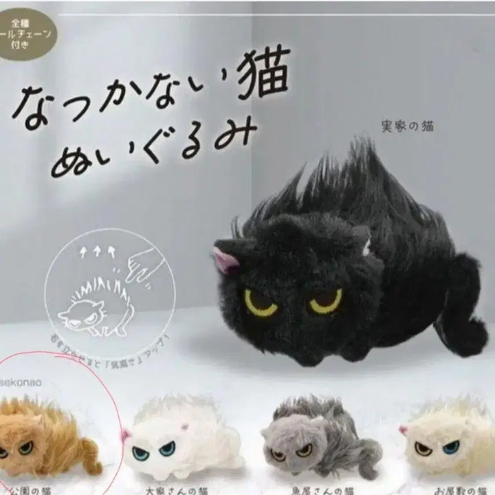 [BUNJANG] Natsukanai Angry (Pouting) Cat Gacha Yellow / 나츠카나이 화난(삐진) 고양이 가챠 노랑