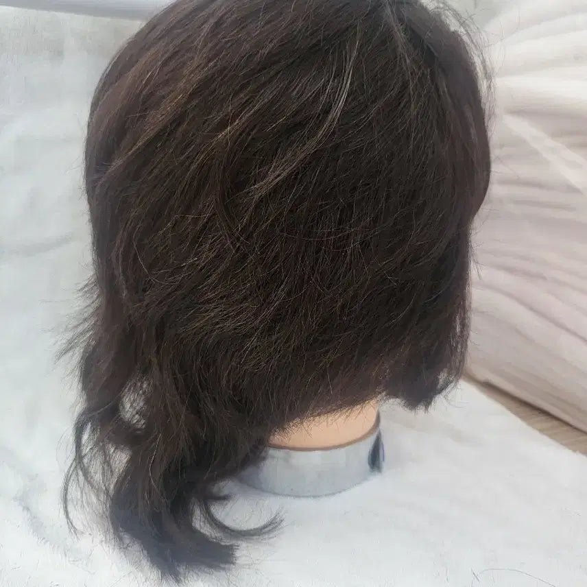 [BUNJANG] Layered Wig / 마타하리100인모 레이어드가발