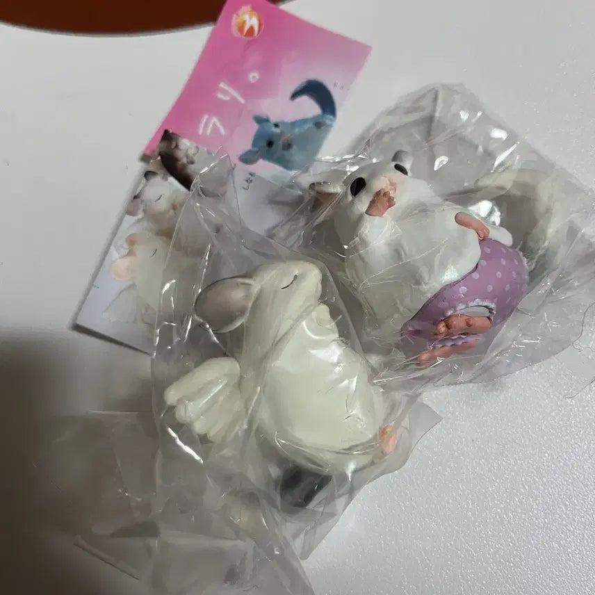 [BUNJANG] Chinchilla Gacha Prayer Pants / 친칠라 가챠 기도 팬티