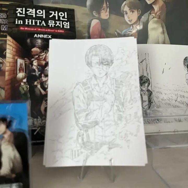 [BUNJANG] Attack on Titan Levi POB / 진격의거인 리바이 특전