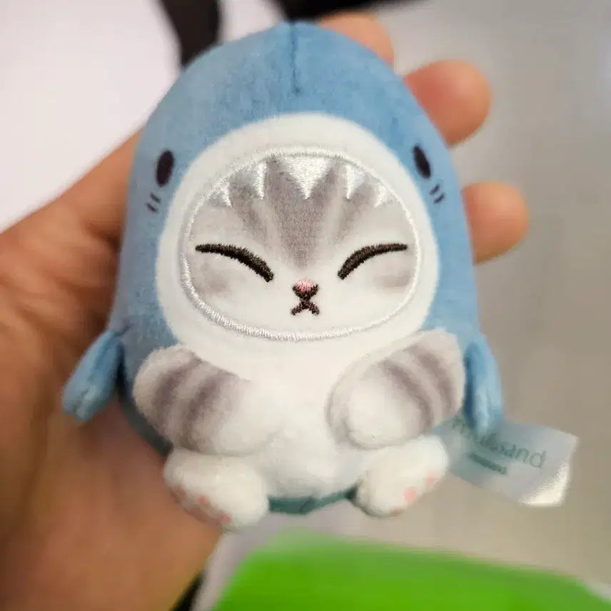 [BUNJANG] Mofsande Shark/Whale Shark Keychain Plush / 모프샌드 상어/고래상어 키링 인형 판매합니다