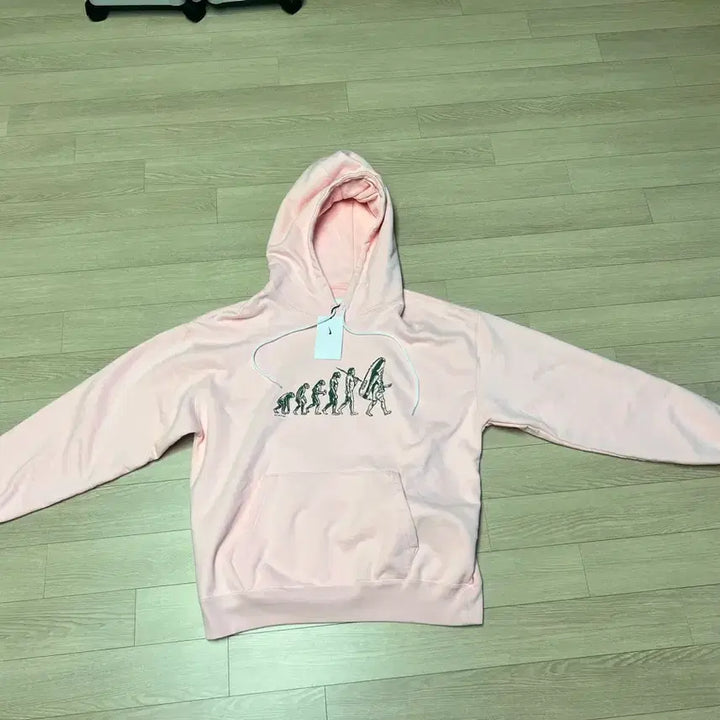 [BUNJANG] Nike Evolution Pink Hoodie (L) / 나이키 에볼루션 핑크 후드티(새상품)