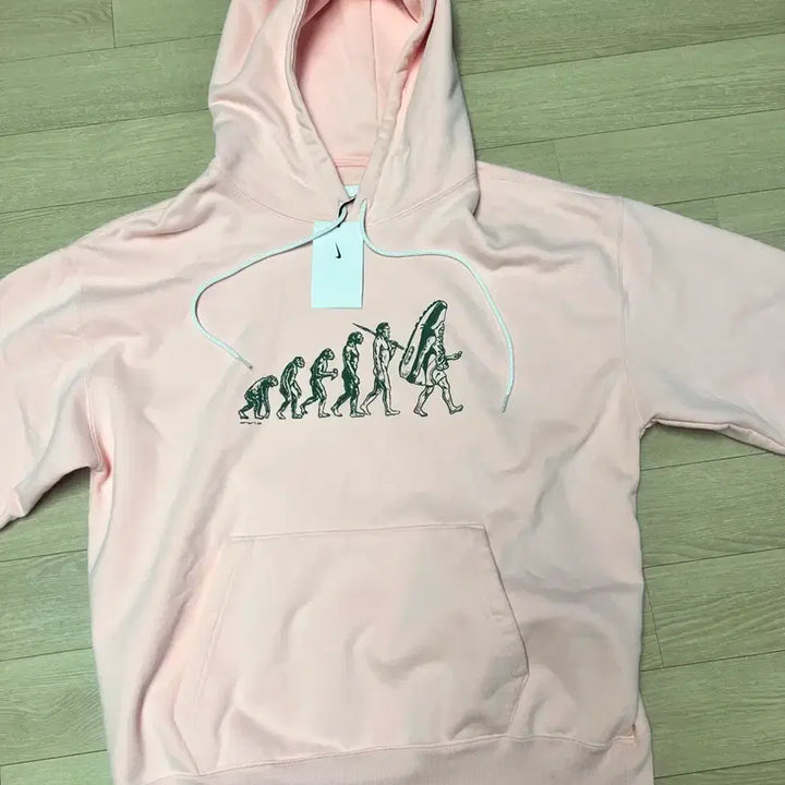 [BUNJANG] Nike Evolution Pink Hoodie (L) / 나이키 에볼루션 핑크 후드티(새상품)