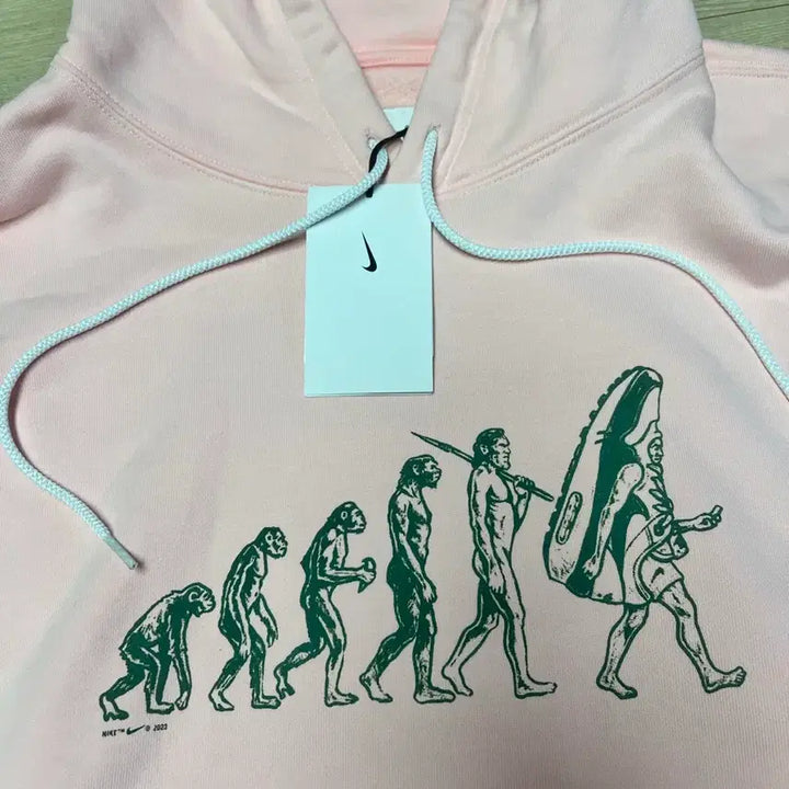 [BUNJANG] Nike Evolution Pink Hoodie (L) / 나이키 에볼루션 핑크 후드티(새상품)