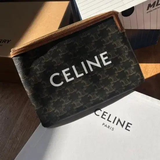 [BUNJANG] Celine Bag (Full Package) / 셀린느 백(구성품다드림