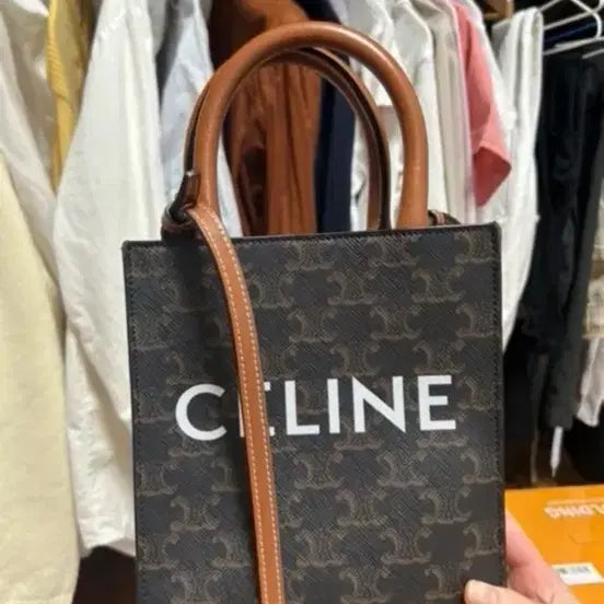 [BUNJANG] Celine Cabas Bag / 재업로드) 셀린느 카바스백