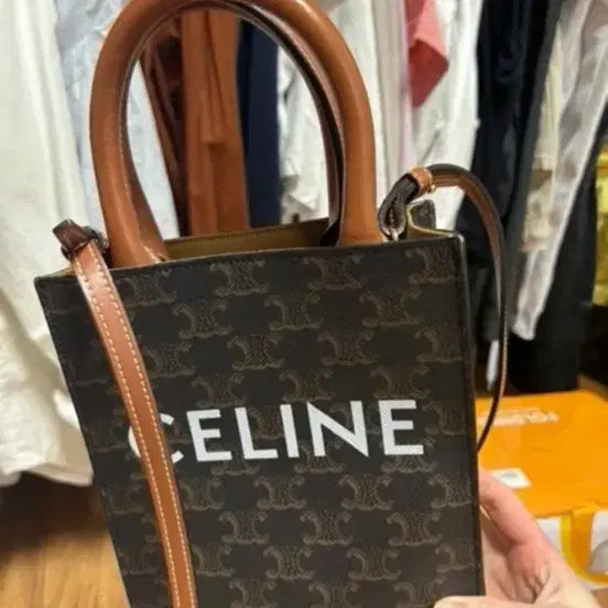[BUNJANG] Celine Cabas Bag / 재업로드) 셀린느 카바스백