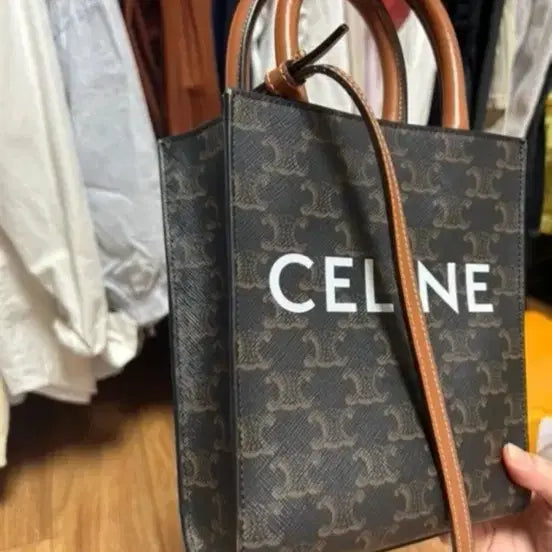 [BUNJANG] Celine Cabas Bag / 재업로드) 셀린느 카바스백
