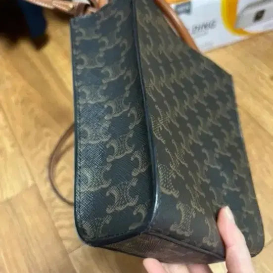 [BUNJANG] Celine Cabas Bag / 재업로드) 셀린느 카바스백