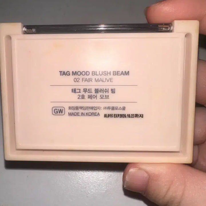 [BUNJANG] TAG Mood Blurring Beam Duo Blush / TAG 태그 무드 블러쉬 빔 듀오 블러셔