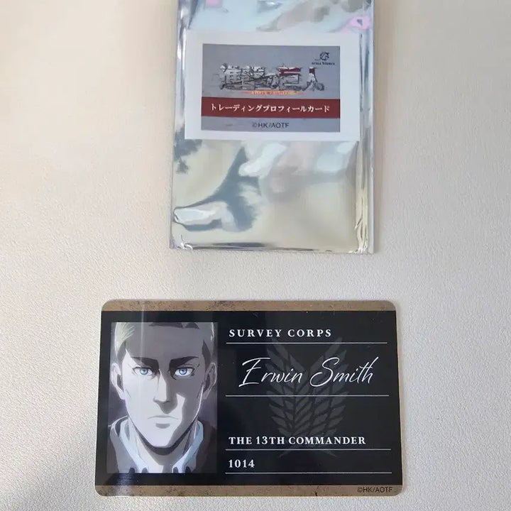 [BUNJANG] Attack on Titan Erwin Profile Card / 진격의 거인 엘빈 프로필 카드