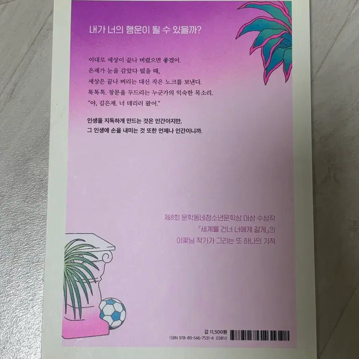 [BUNJANG] Novel Book / 행운이 너에게 다가오는중 소설책 판매합니다
