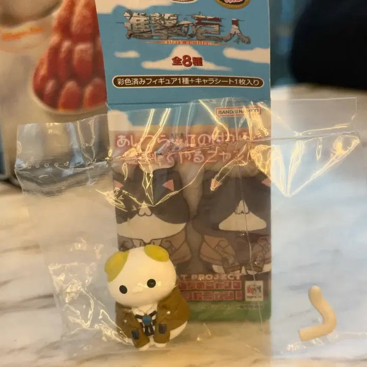 [BUNJANG] Attack on Titan Erwin Megacat / 진격의 거인 엘빈 메가캣