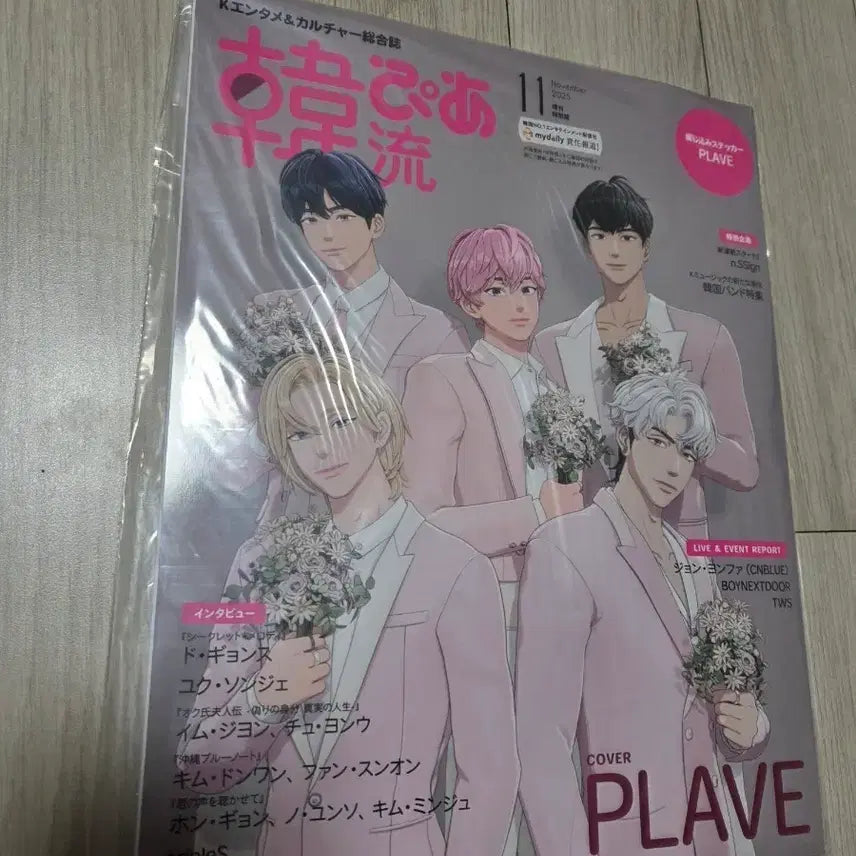 [BUNJANG] PLAVE Hanryu Pia Photocard / 플레이브 한류피아 잡지 특전 포카 포함 일본