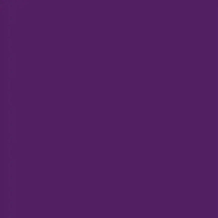 [BUNJANG] LEON Character Printed Purple Sweatshirt / LEON 캐릭터 프린팅 보라색 퍼플 맨투맨