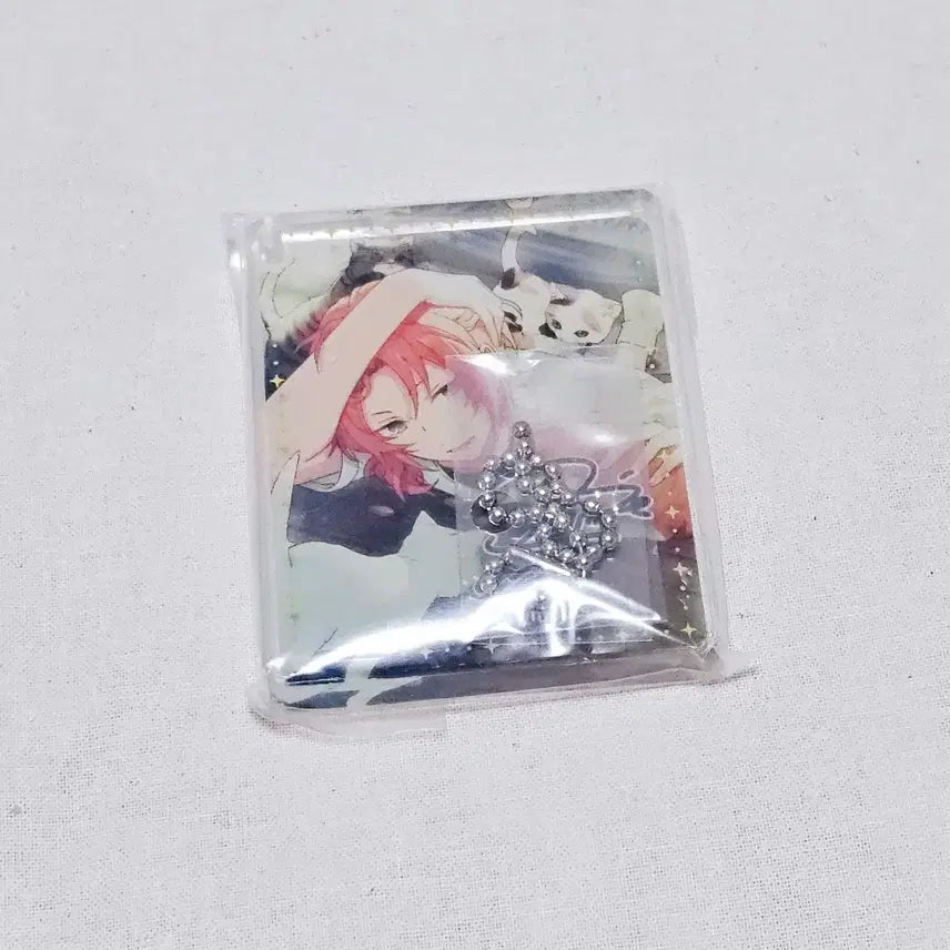 [SOLD OUT] 앙스타 레오 해외 한정 코롯타