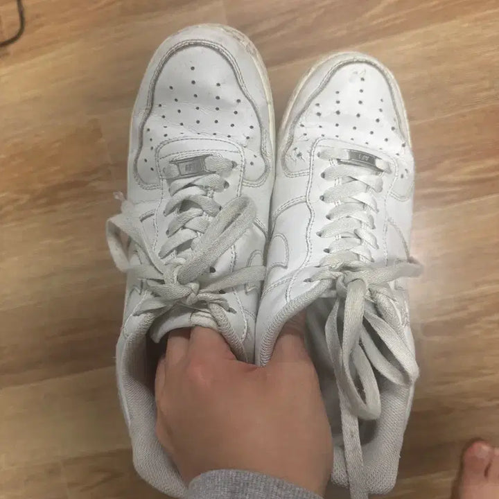 [BUNJANG] White Force 270 / 흰포스 270