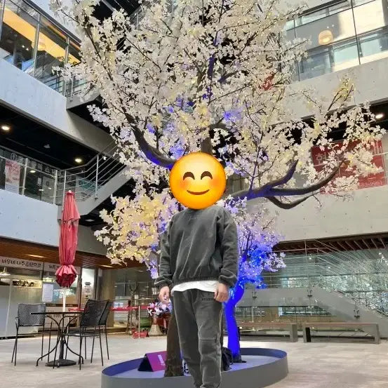 [BUNJANG] IAB Studio Pigment Crewneck & Sweatpants Set / 아이앱스튜디오 피그먼트 상하의 세트(크루넥,스웨트팬츠)