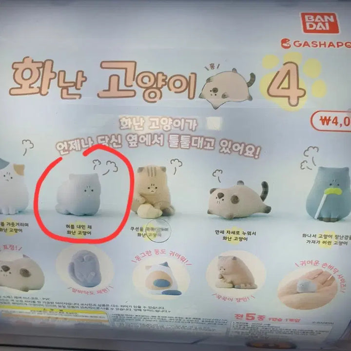 [BUNJANG] Angry Cat Gacha Series 4 Gray Cat Figure / 화난 고양이 가챠 4탄 회색 고양이