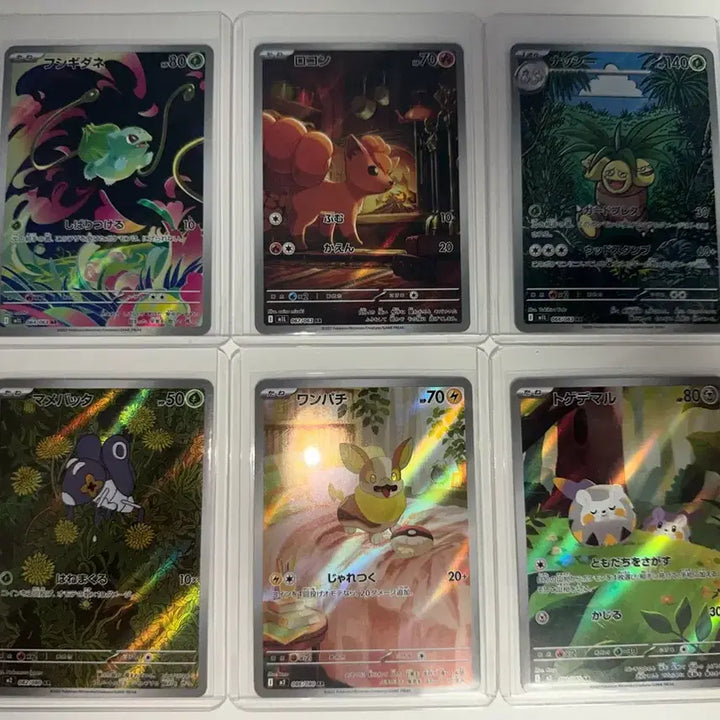 [BUNJANG] Pokemon Japanese AR 15 Types Card Set / 포켓몬 카드 일판 AR 15종
