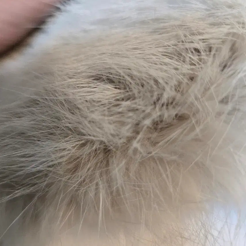 [BUNJANG] Salvatore Ferragamo Lapin Fur Muffler / 미사용급 Salvatore Ferragamo 라팽 퍼 머플실크 안감실크