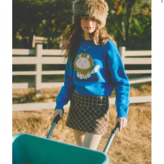 [BUNJANG] CRANK Kitty Wool Crop Knit Top / CRANK 크랭크 키티 울 크롭 니트 블루