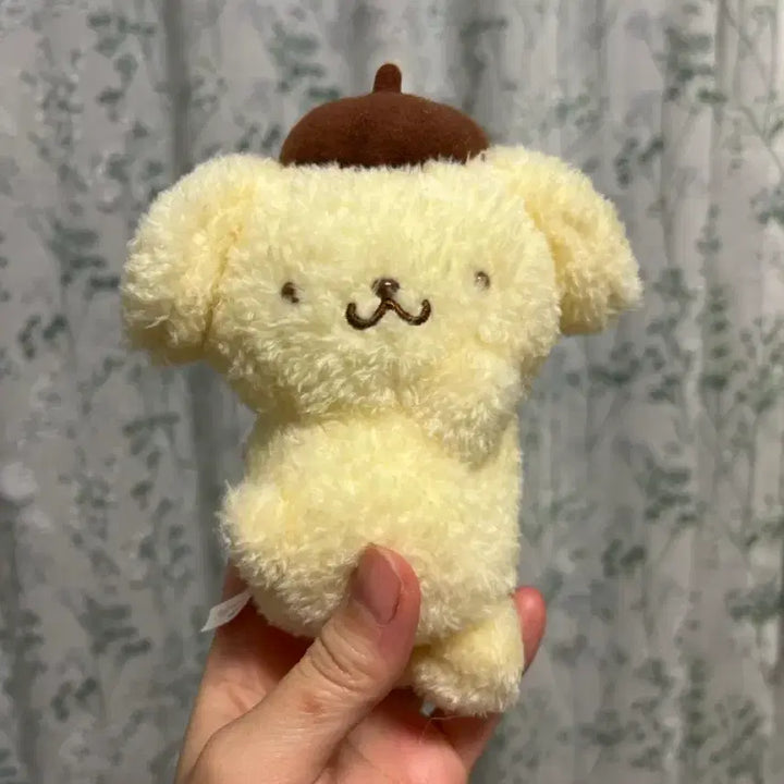 [BUNJANG] Oshiwari Pompompurin Birthday Mascot Doll / 오시와리 폼폼푸린 생일 마스코트 인형