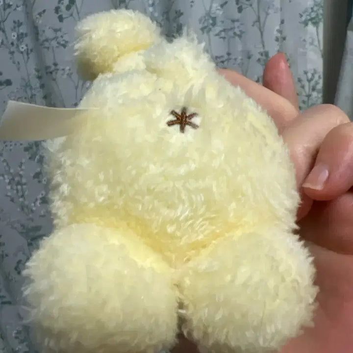 [BUNJANG] Oshiwari Pompompurin Birthday Mascot Doll / 오시와리 폼폼푸린 생일 마스코트 인형