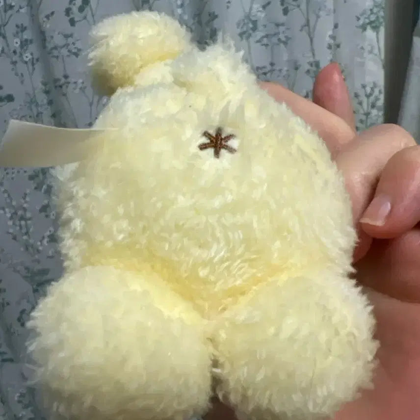 [BUNJANG] Oshiwari Pompompurin Birthday Mascot Doll / 오시와리 폼폼푸린 생일 마스코트 인형