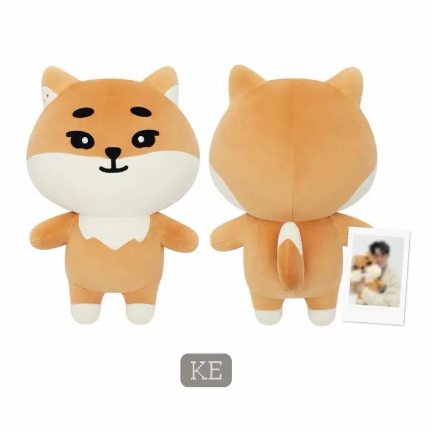 [BUNJANG] Day6 Jae Giant Denimals Keyring (Sealed) / 데이식스 자이언트 데니멀즈 케(미개봉)