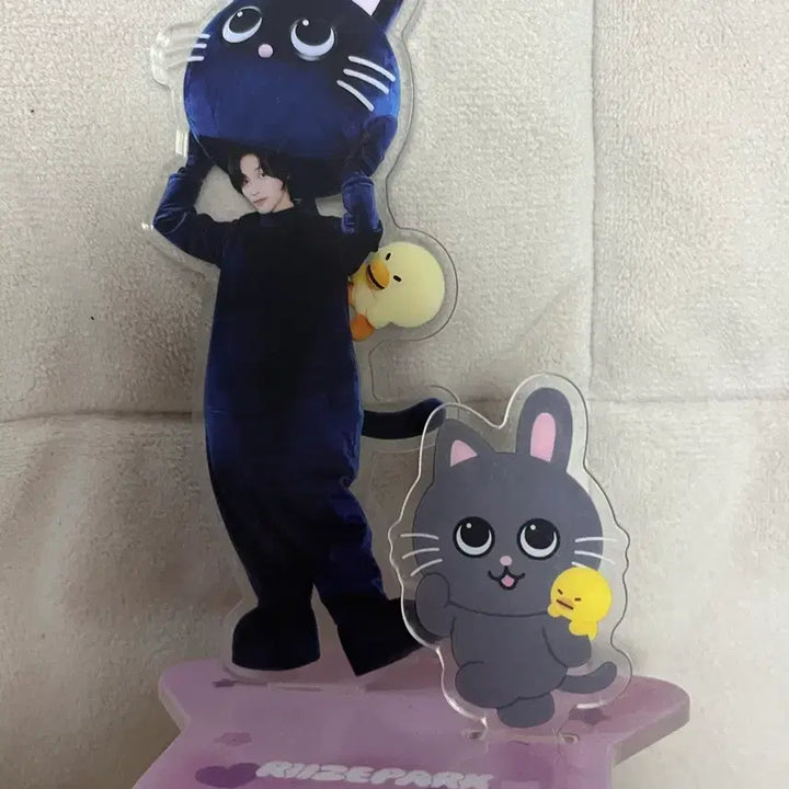 [BUNJANG] Riize Wonbin Riize Park Acrylic Stand / 라이즈 원빈 토냥덕 아크릴스탠드 라이즈파크 riize wonbin
