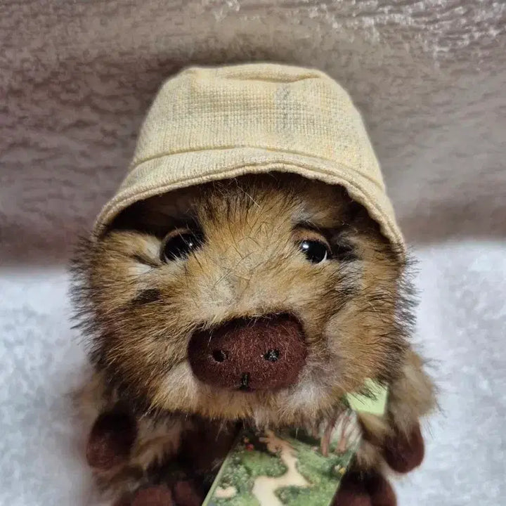 [BUNJANG] Teddy Tales Capybara XS Size Plush / (새상품)테디테일즈 카피바라 xs사이즈 15cm