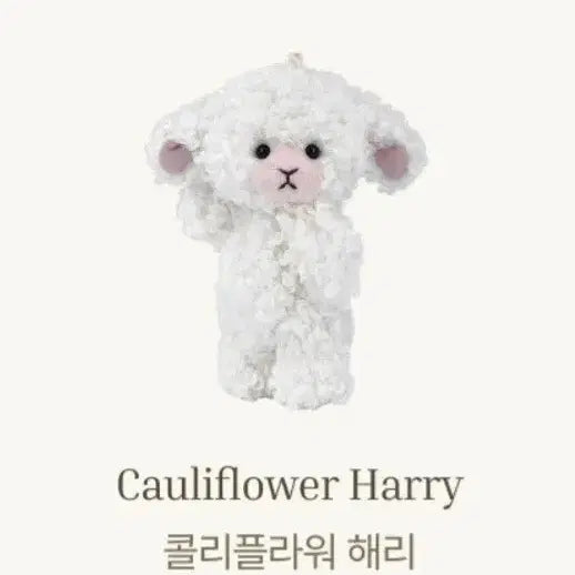 [BUNJANG] Teddy Tails Lena Bear Little Fairy Coliflower Harry 10cm / (새상품)테디테일즈 레나베어 리틀페어리 콜리플라워 해리 10cm