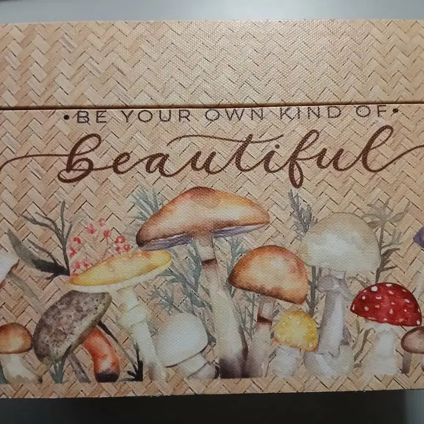 [BUNJANG] Vintage Deco Storage Box / 2000원 할인중)빈티지 다꾸 보관함 팔아요!