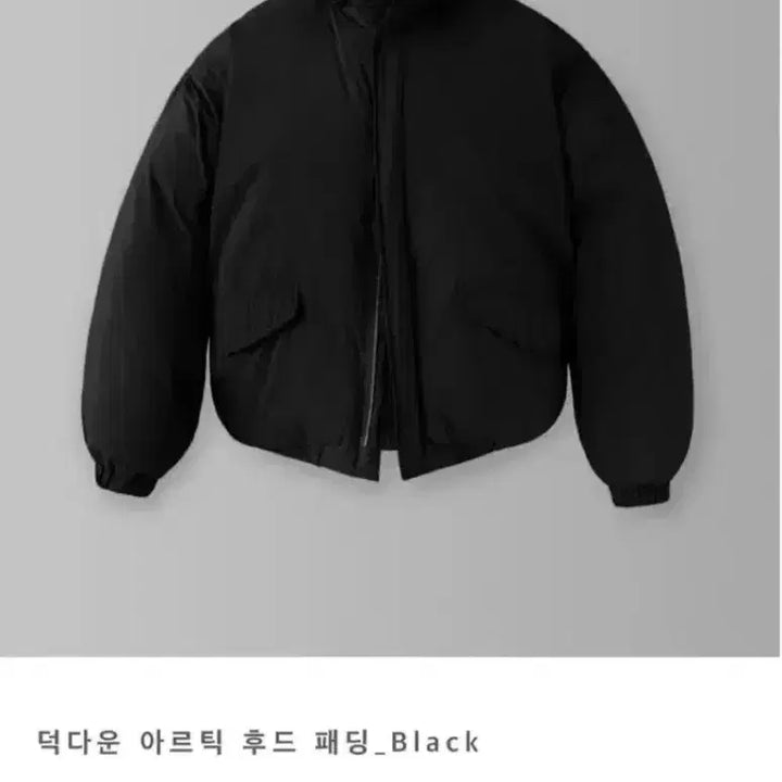 [BUNJANG] Unspecified Group Down Hooded Padded Jacket L / 덕 다운 후드 패딩 L 자켓