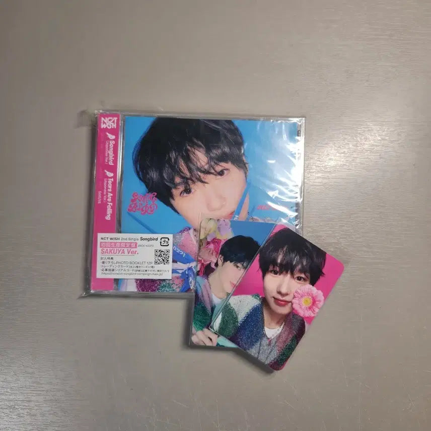[BUNJANG] NCT WISH Sakuya Japanese Limited Edition CD / 엔시티 위시 양도 엔시티 위시 사쿠야 초회한정 일본반 송버드 양도합니다