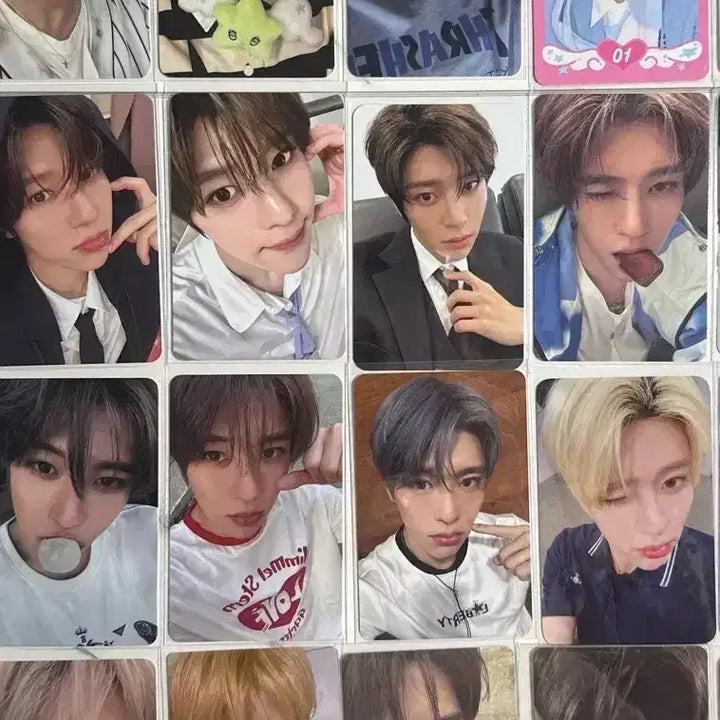 [SOLD OUT] 엔시티위시 시온 포카 일괄