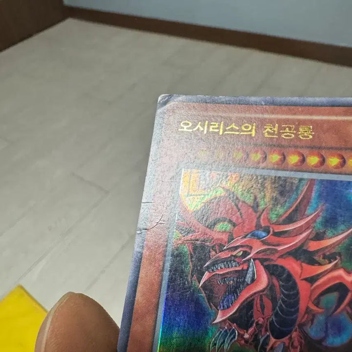 [BUNJANG] Yu-Gi-Oh! World Championship Bundle Set / 월챔 삼환신 일괄 판매합니다