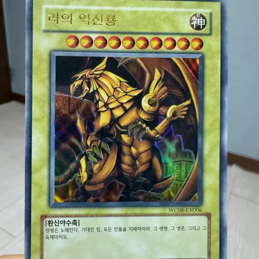 [BUNJANG] Yu-Gi-Oh! World Championship Bundle Set / 월챔 삼환신 일괄 판매합니다