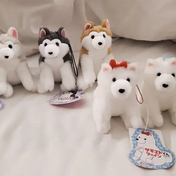 [BUNJANG] Amuse Samoyed VMC Mascot Plush / 일본 어뮤즈 정품) 사모예드 VMC 마스코트