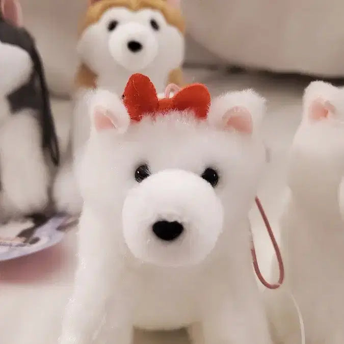 [BUNJANG] Amuse Samoyed VMC Mascot Plush / 일본 어뮤즈 정품) 사모예드 VMC 마스코트