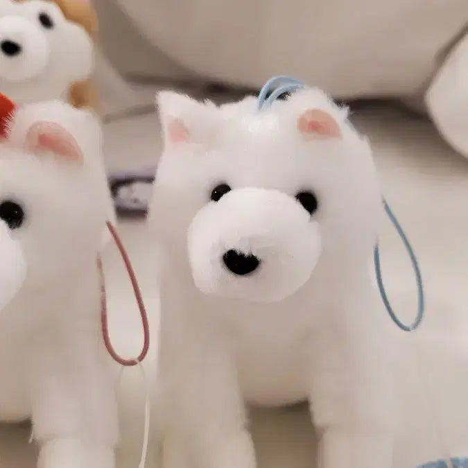 [BUNJANG] Amuse Samoyed VMC Mascot Plush / 일본 어뮤즈 정품) 사모예드 VMC 마스코트