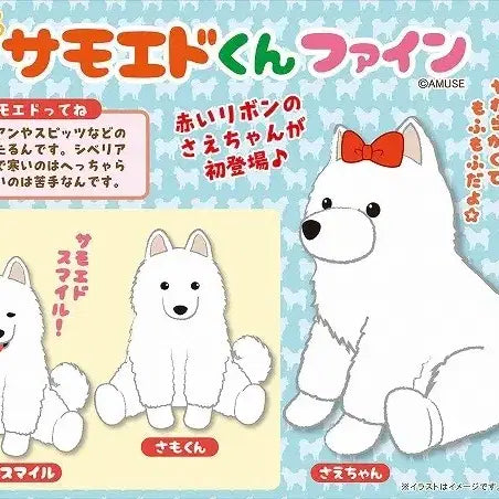 [BUNJANG] Amuse Samoyed VMC Mascot Plush / 일본 어뮤즈 정품) 사모예드 VMC 마스코트